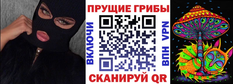 omg рабочий сайт  Алексин  Галлюциногенные грибы ЛСД 